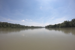 DCIM100GOPROGOPR0242.JPG