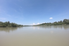 DCIM100GOPROGOPR0243.JPG