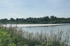 IMG_20190605_103124