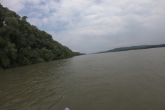 DCIM100GOPROGOPR0251.JPG