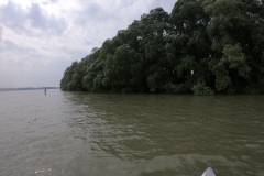 DCIM100GOPROGOPR0252.JPG