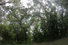 DCIM100GOPROGOPR0258.JPG