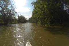DCIM100GOPRO
