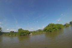 DCIM100GOPRO