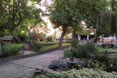 IMG-20190615-WA0010