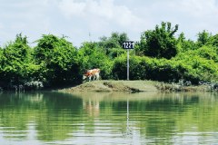 IMG_20190618_140238_373