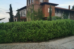 IMG_20190619_185301