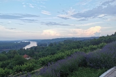 IMG_20190619_191225