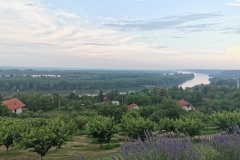 IMG_20190619_191230