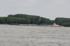 IMG_20190704_140026