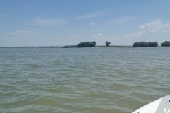 IMG_20190707_113916