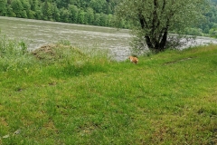 IMG_20190529_134951
