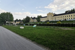 IMG_20190531_184514