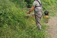IMG_20190601_130558